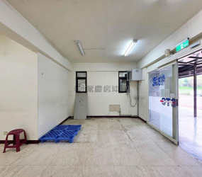 縣府特區｜百坪角間電梯大透店《超大地坪、好停車》