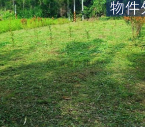 關西開心農場I區