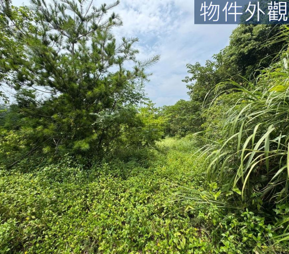 竹科後花園．富麗農莊.現代務農族.享受田園生活