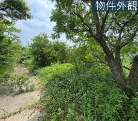 竹科後花園．富麗農莊.現代務農族.享受田園生活