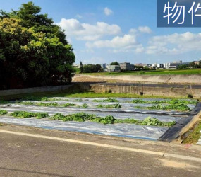 新豐開心農場