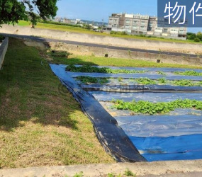 新豐開心農場