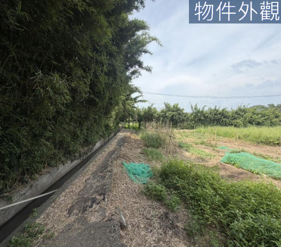 園區三期徵收地2