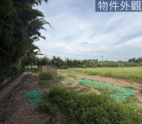 園區三期徵收地2