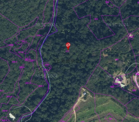 苗栗三灣南下林坪段持份地