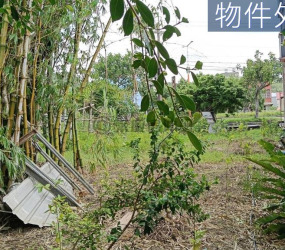 台一線旁大面寬農地｜低總價輕鬆置產