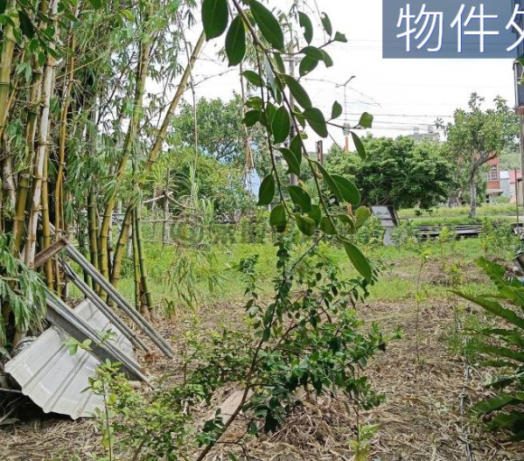 台一線旁大面寬農地｜低總價輕鬆置產