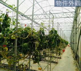 【吉陽農場｜城市裡的秘境農園】