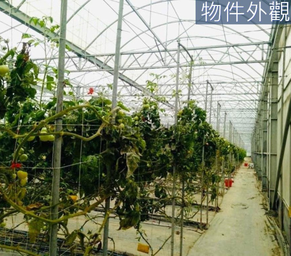 【吉陽農場｜城市裡的秘境農園】