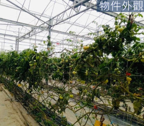 【吉陽農場｜城市裡的秘境農園】
