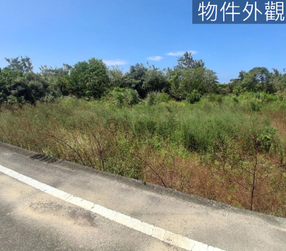 【大矽谷計劃後龍鎮產業園區】苦苓腳段投資農地 A